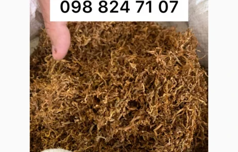 ТАБАК ТЮТЮН продам - Вірджинія