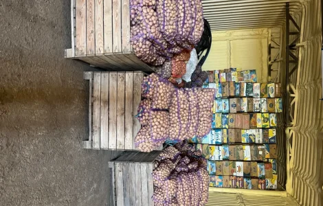 Продам картошку посадочную