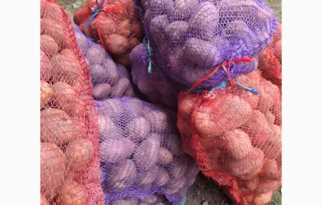 Продам домашний картофель