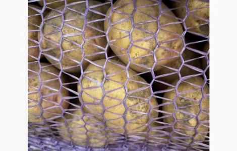 Продаж Картоплі