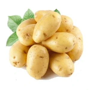 Продам молоду картоплю