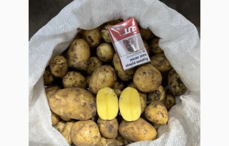ПРОДАМ картошка молодая