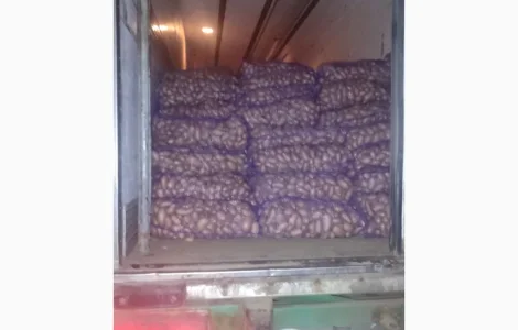 Продам качественый розовый картофель