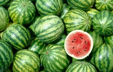 Продам свежие сладкие арбузы