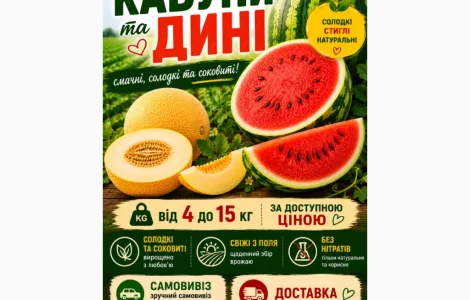 Продажа арбузов и дынь. Оптом с поля