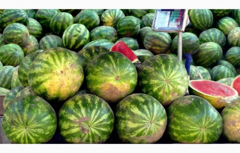Продам свежие сладкие арбузы