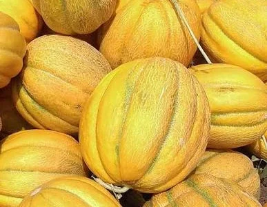 Куплю Диню з поля