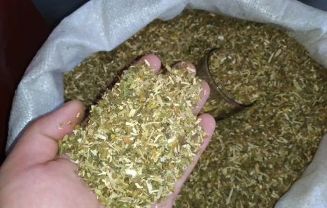 САМОСАД махра сільська дідовська