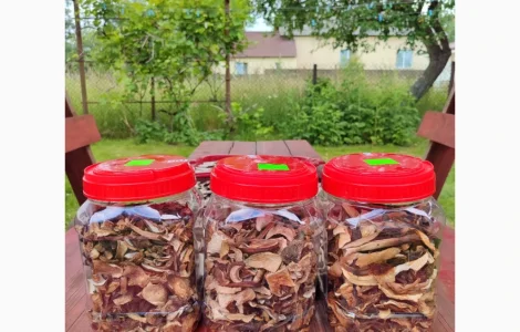 Білі гриби сушені еко чисті продаж Гірський район