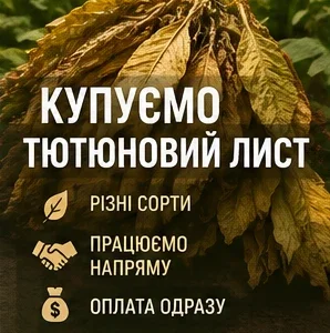 Потрібен тютюновий лист у великих та малих об’ємах