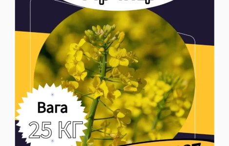 Насіння Гірчиці. Семена Горчицы. Сидерати. Насіння Гірчиці Біла