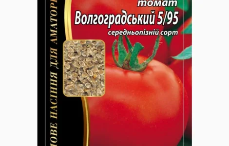 Томат "Волгоградский 5/95" Агромакси