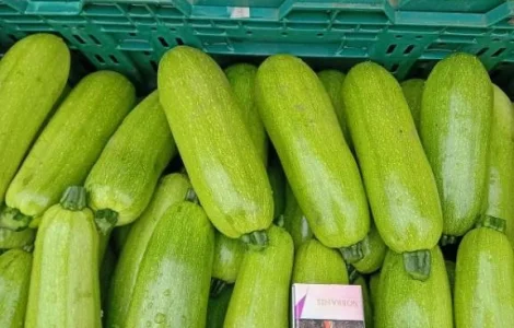 Продам кабачок 1 сорт