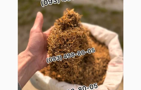 Люльки