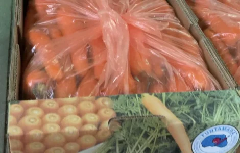 Продаж морква для борщового набору оптом оптом від 5 тонн Кіровоградська обл