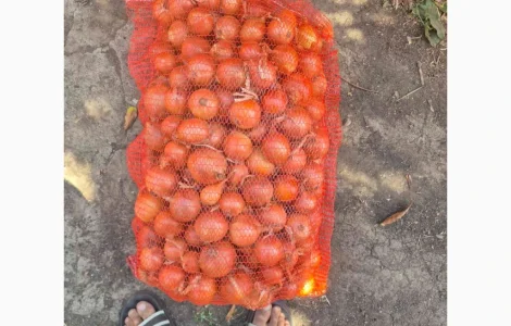 Продам лук