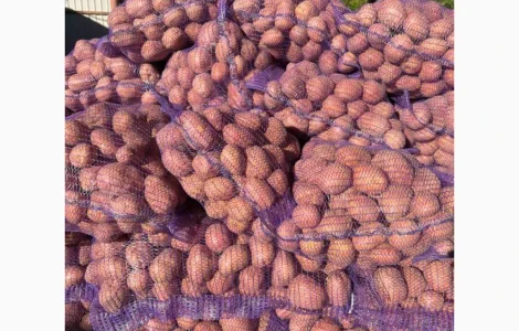 Продажа картофеля от фермера