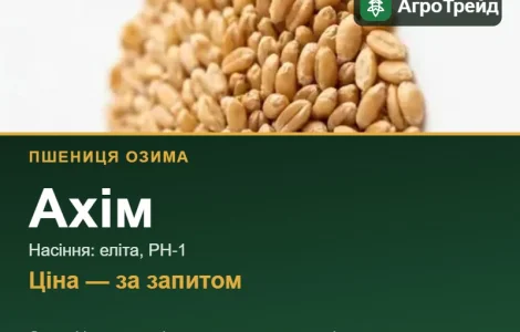 Пшеница Ахим — семена элита, РН-1