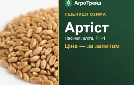 Пшеница Артист — семена элита, РН-1