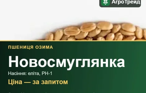 Купити пшеницю Новосмуглянка на посів