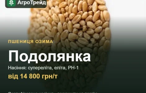 Насіння пшениці Подолянка, от 14 800 грн/т