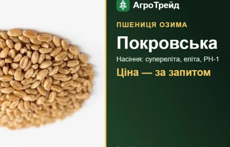 Насіння пшениці Покровська