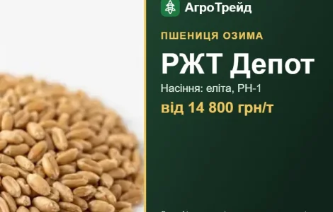 РЖТ Депот — озима пшениця, насіння