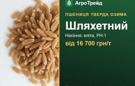 Посевная пшеница Шляхетный, от 16 700 грн/т