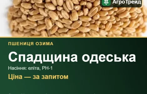 Пшеница озимая Спадщина одесская — семена