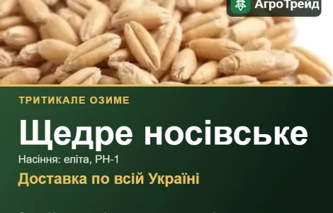 Тритикале Щедре носівське для посіву