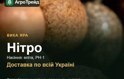 Купити вику Нітро на посів