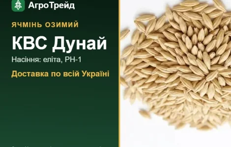 Посівний ячмінь КВС Дунай, від 14 800 грн/т