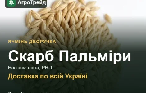 Ячмень двуручка Скарб Пальмиры — семена