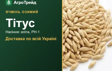Ячмінь озимий Тітус — насіння