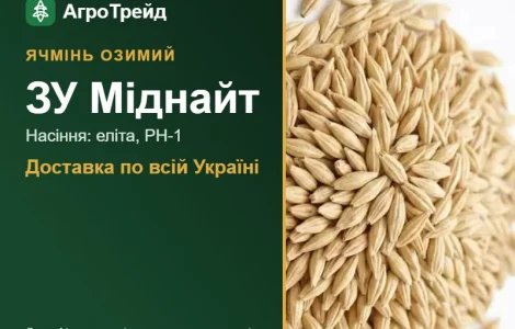 Насіння ячменю ЗУ Міднайт, від 14 800 грн/т