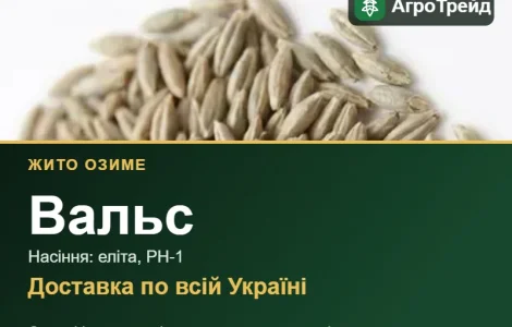 Насіння жита Вальс