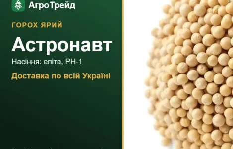 Астронавт — яркий горох, семена