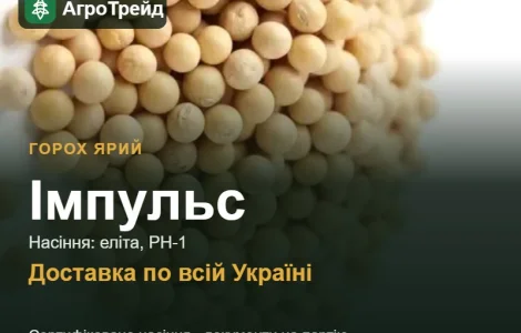 Імпульс — ярий горох, насіння, від 29 700 грн/т