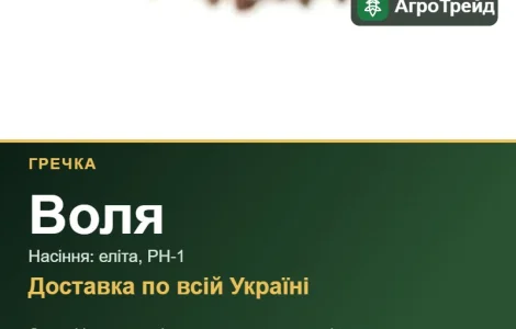 Посевная гречка Воля