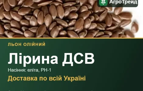 Насіння: льон олійний Лірина ДСВ