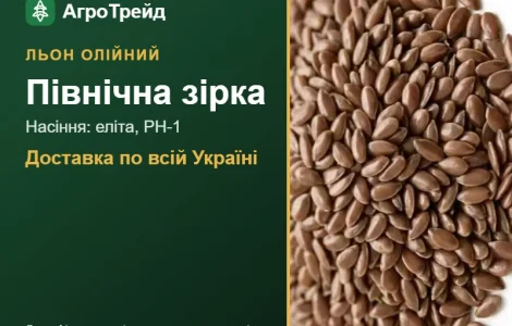 Масличный лен Северная звезда — семена
