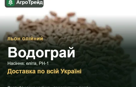 Льон олійний Водограй — насіння