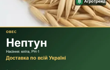 Насіння: овес Нептун