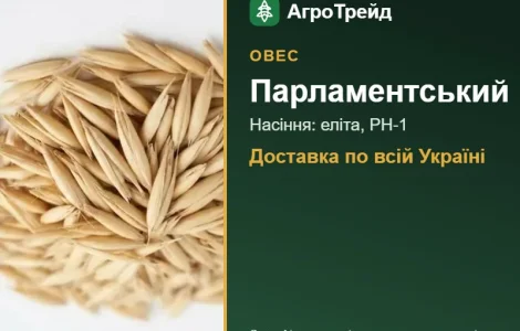 Насіння вівса Парламентський