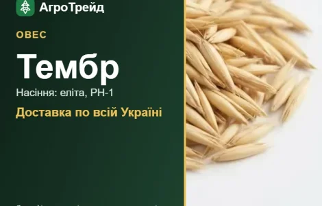 Посівний овес Тембр