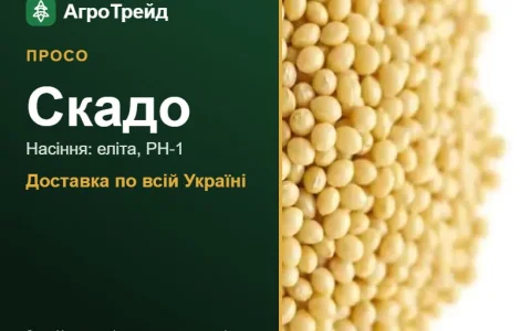 Просо Скадо для посіву