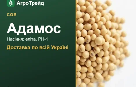 Соя Адамос — насіння