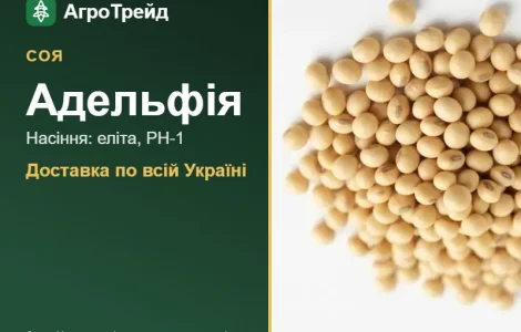 Насіння: соя Адельфія