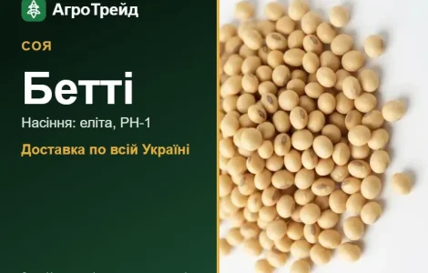 Насіння сої Бетті