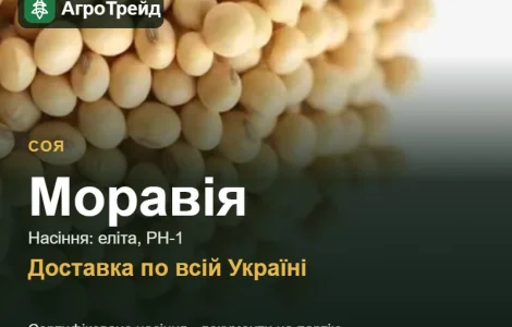 Купить сою Моравия на посев